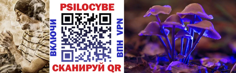Псилоцибиновые грибы Psilocybe  Купить закладки  Козловка 