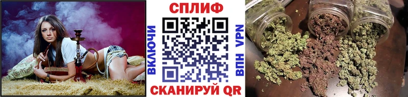 Купить где  Козловка  Каннабис AK-47 